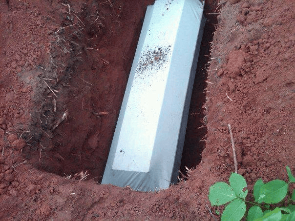 Tunde Adewunmi Cover Image